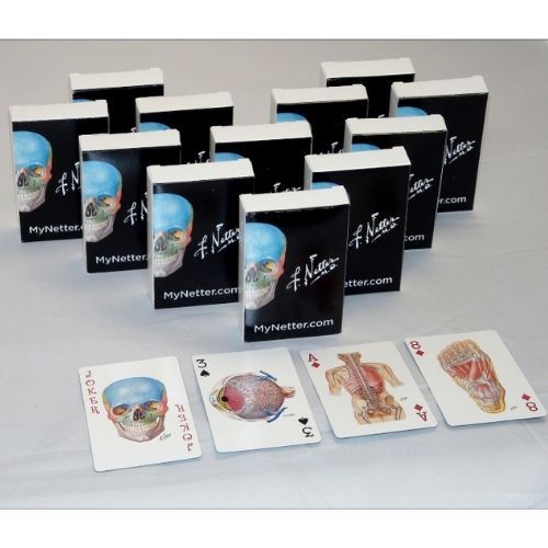 Netter Playing Cards: Netter's Anatomy Art Card Deck (Single Pack)